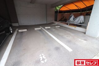 カラスと猫は寄せ付けません
