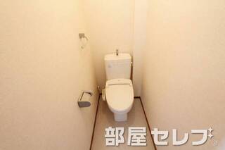 きれいしています。