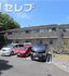 プレストンズ高峯