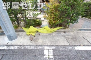 ゴミ捨て場も近くにあります。