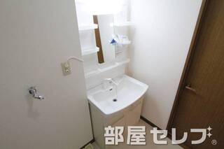 シャワー付き独立洗面台です　他号室の写真です。