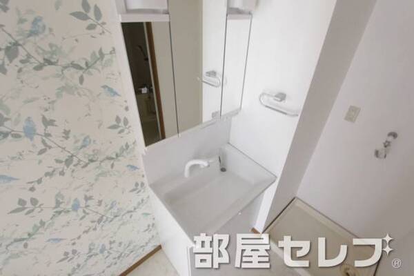 洗髪洗面化粧台。他号室の写真です。