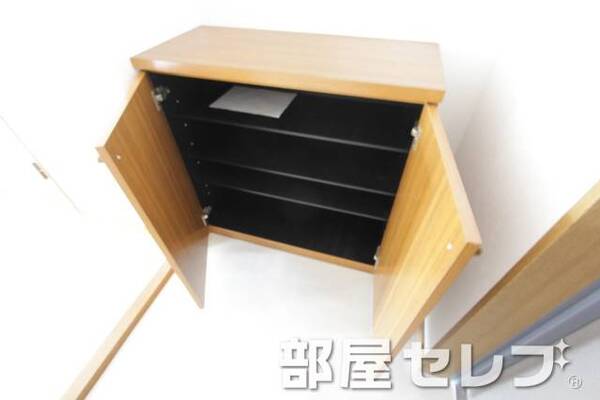 シューズボックス。他号室の写真です。