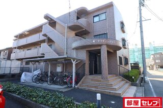 2017年1月12日撮影。