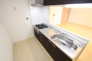 立派なシステムキッチン。他号室の写真です。