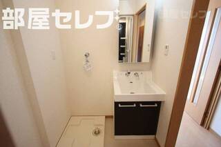 朝シャン対応のシャンプードレッサーです