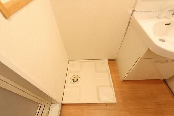 室内洗濯機置場。（101号室内装写真）