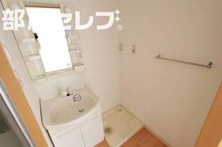 シャンプードレッサー