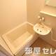 同タイプの写真です。