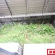 部屋画像9