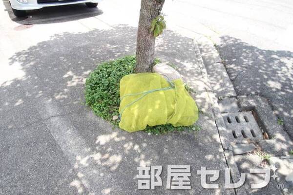 ゴミ置き場。