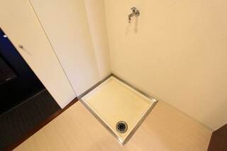 反転タイプの写真です