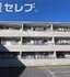 Levante原