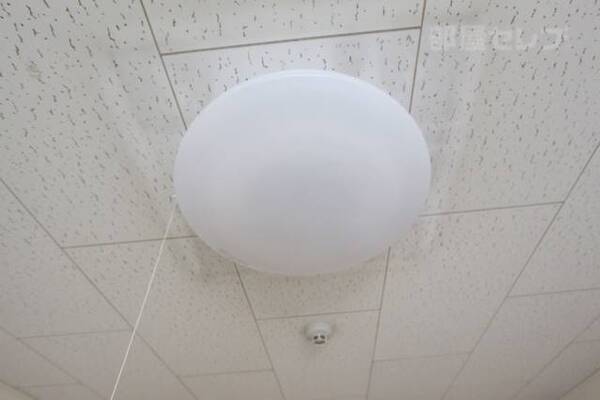 照明器具付きです