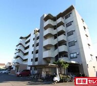 Vg.Tree 東棟
