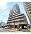 マルベリー原