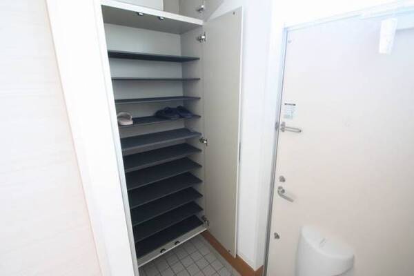 みてくださいこのシューズボックスを。
