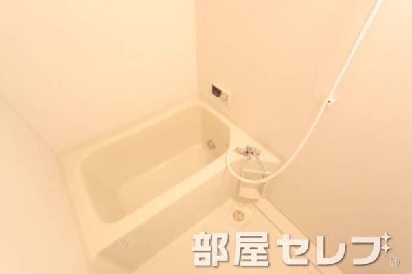 綺麗なバスです。