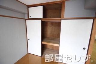 天袋もあって奥行きのある収納。