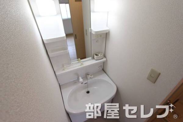 洗髪洗面化粧台。他号室の写真です。