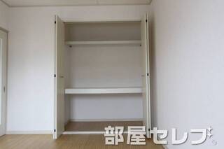 クローゼット付きです。他号室の写真です。