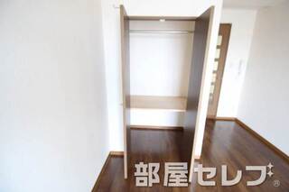 ハンガーラックがあり、奥行きがある収納です。