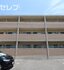 Sun State 池花