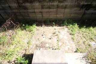 ちょっとした家庭菜園でも。