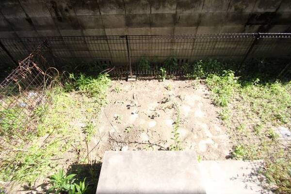 ちょっとした家庭菜園でも。