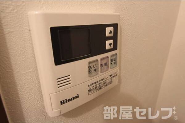 2017年1月8日撮影