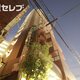 部屋画像15