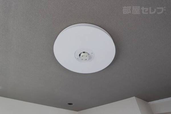 401号室の写真です