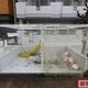 部屋画像33