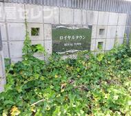 ロイヤルタウン D