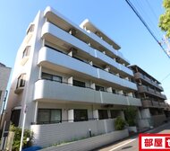 ハウザー高畑