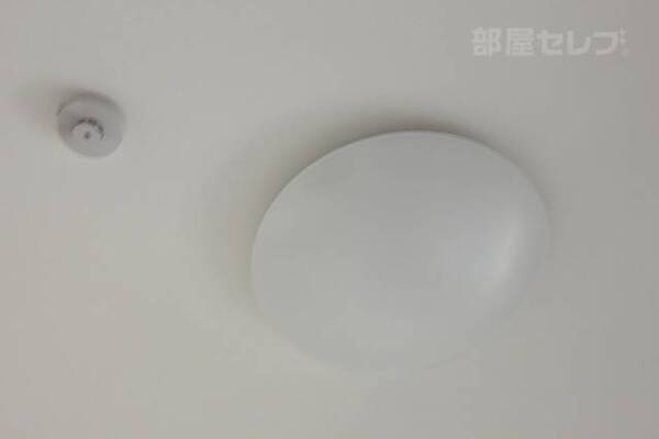 ※203号室の写真になります。