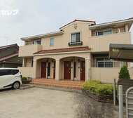 アプリコット