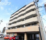 サンライズ入場