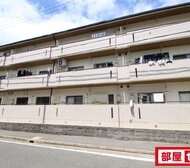 メモアール中花