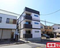 DEVELD荒中