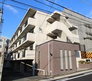 ヒルズ雅