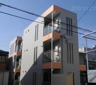 アムール青柳