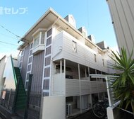 Verde M