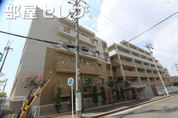 さすが分譲賃貸カッコイイです。