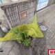 部屋画像19