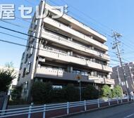 ジュノス