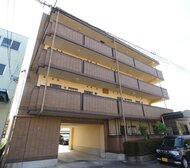 プラシード幸