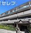 アルフ元宮