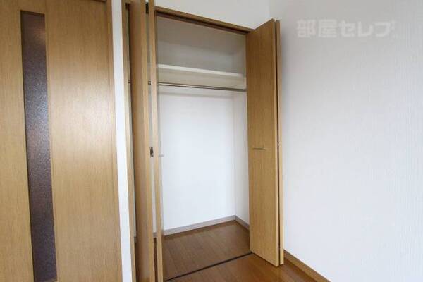 クローゼットタイプの収納です。