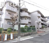 ドリーム梨花